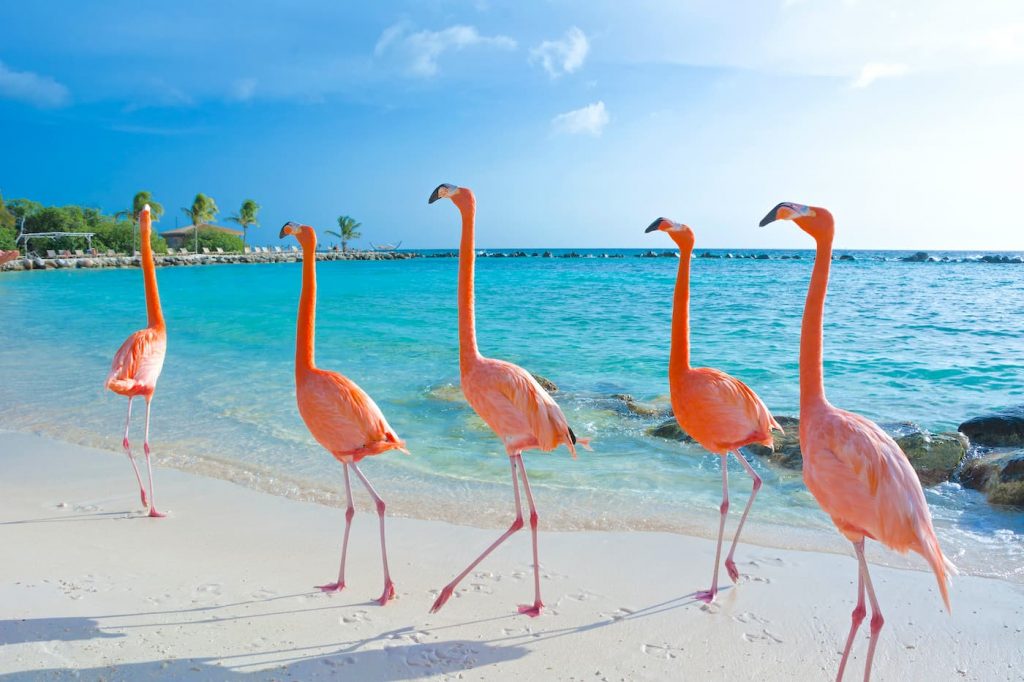 NEWS & OFFERS BA exciting new routes including Aruba, New Ritz Carlton