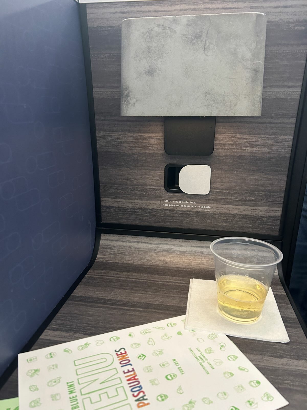 REVIEW: JetBlue Mint Studio To JFK A321LR - One Of The Best ...